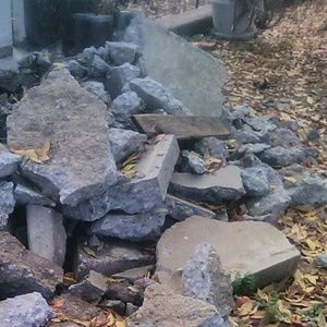 Meet your Posher, Shirley